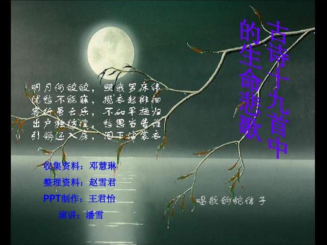 古體詩(shī)篇：懷念生命的莊嚴(yán) - BIM,Reivt中文網(wǎng)