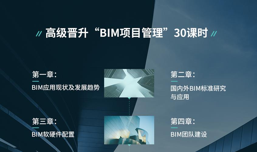 BIM項目管理專家 - BIM,Reivt中文網