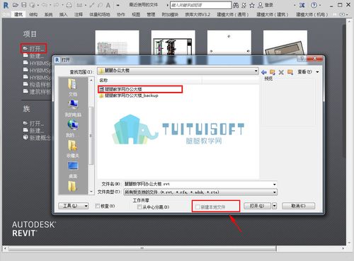 怎樣處理無法打開Revit文件的問題 - BIM,Reivt中文網(wǎng)