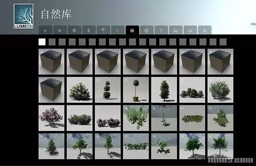 Lumion植物資源套裝 - BIM,Reivt中文網(wǎng)