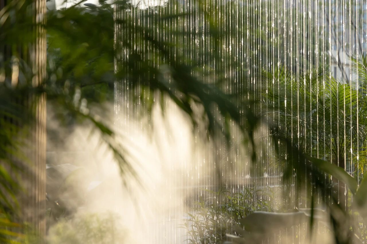 夏日雨林 | 成都德樺·御湖和境第6張圖片